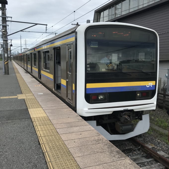 鉄道乗車記録の写真:乗車した列車(外観)(3)        「千マリC603編成。成東駅0番線。」