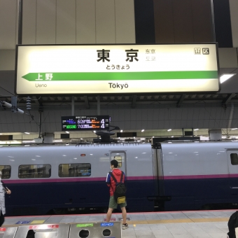 東京駅から新函館北斗駅:鉄道乗車記録の写真