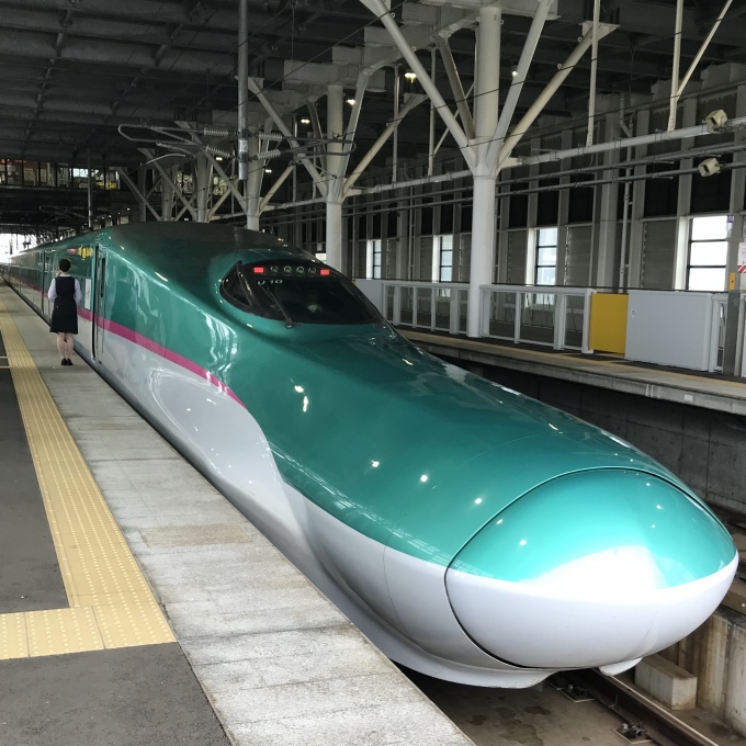 鉄道乗車記録の写真:乗車した列車(外観)(3)        「仙セシU10編成。新函館北斗駅11番線。」