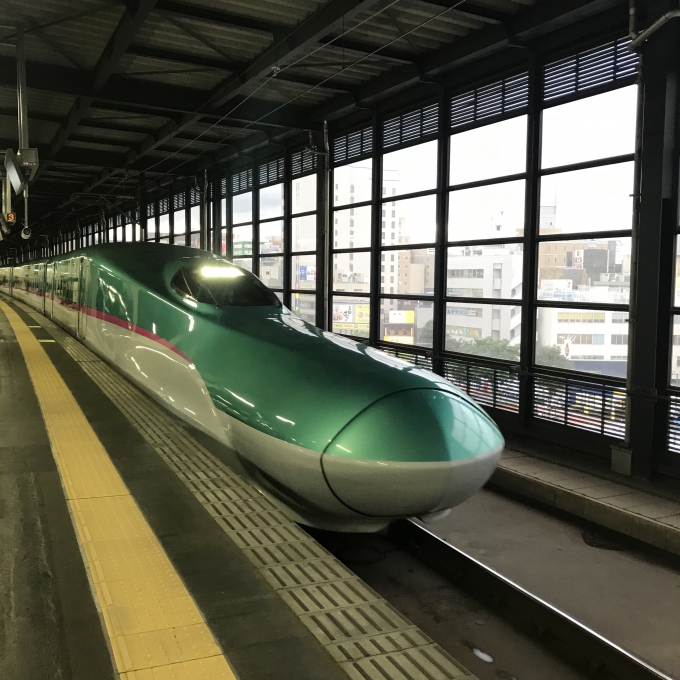 鉄道乗車記録の写真:乗車した列車(外観)(3)        「仙セシU6編成。盛岡駅11番線。」
