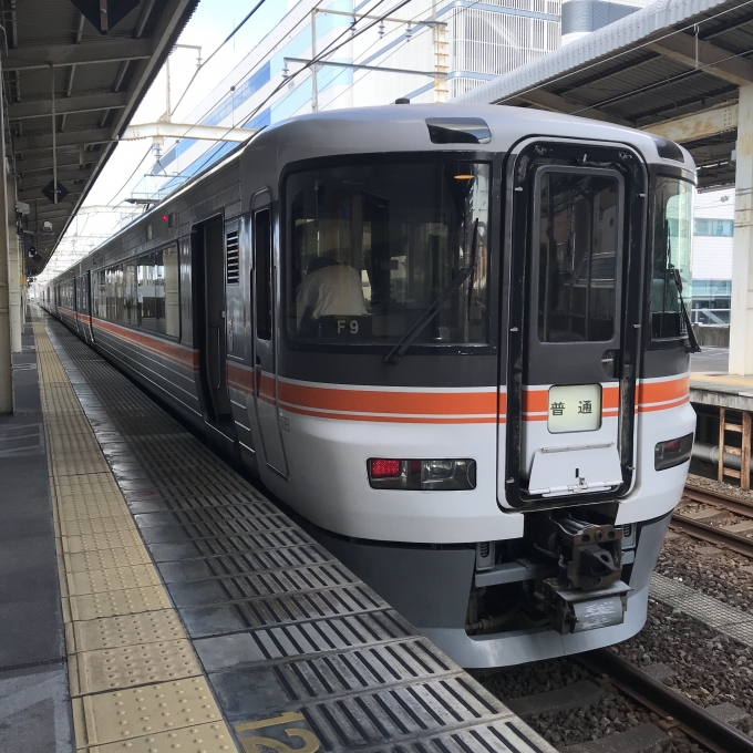 鉄道乗車記録の写真:乗車した列車(外観)(3)        「静シスF14編成＋静シスF9編成。浜松駅3番線。」
