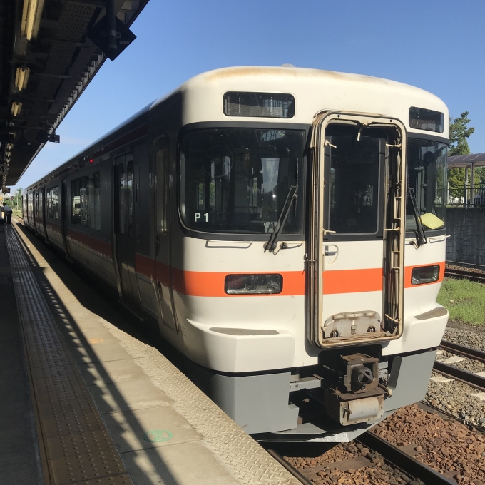 鉄道乗車記録の写真:乗車した列車(外観)(3)        「海ミオP1編成。美濃太田駅4番線。 」