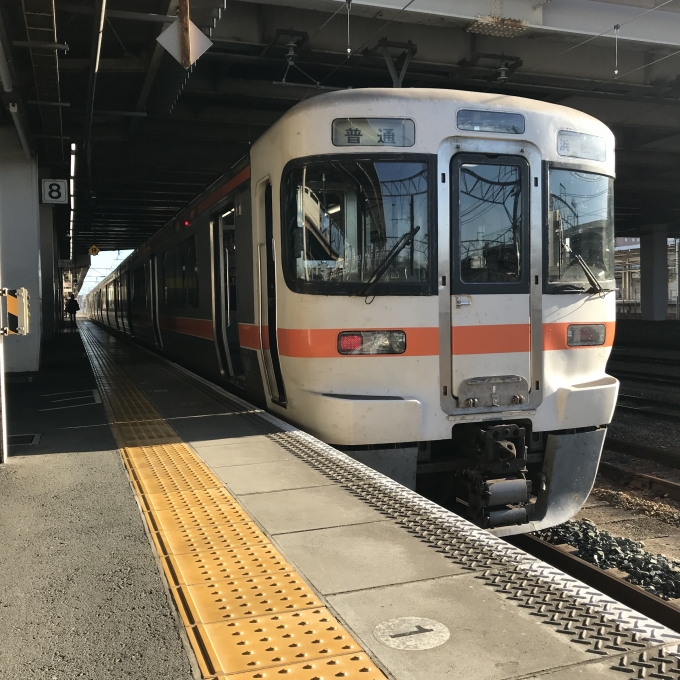 鉄道乗車記録の写真:乗車した列車(外観)(3)        「海カキY15編成。豊橋駅8番線。」