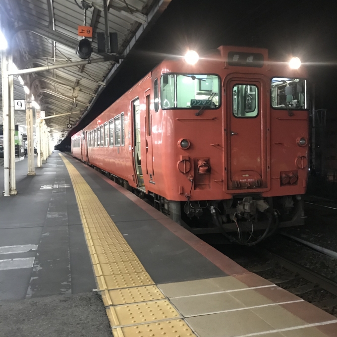 鉄道乗車記録の写真:乗車した列車(外観)(3)        「キハ40 2091＋キハ40 2071。下関駅9番のりば。」