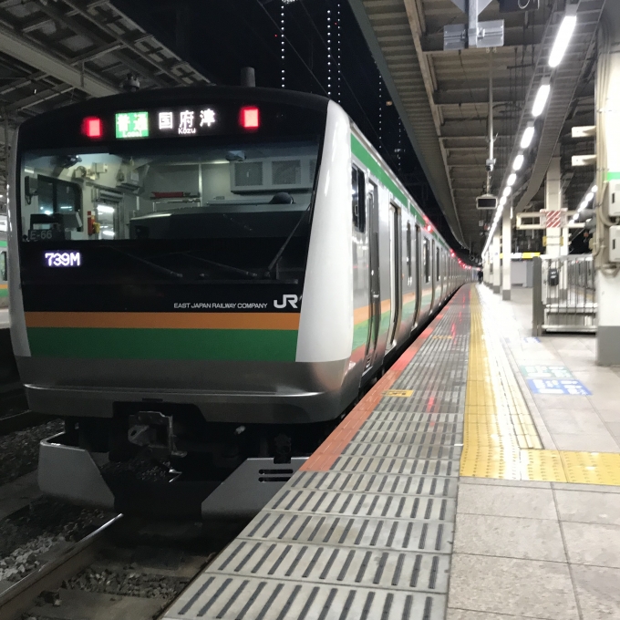 鉄道乗車記録の写真:乗車した列車(外観)(3)        「横コツE09編成＋横コツE66編成。東京駅8番線。」