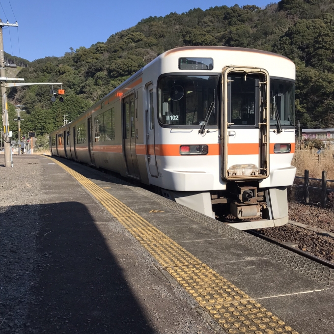 鉄道乗車記録の写真:乗車した列車(外観)(7)        「キハ25系海ナコM102編成。」