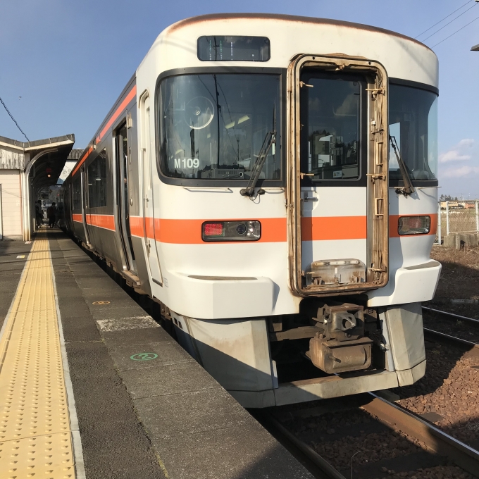 鉄道乗車記録の写真:乗車した列車(外観)(3)        「キハ25系海ナコM109編成。多気駅2番線。」