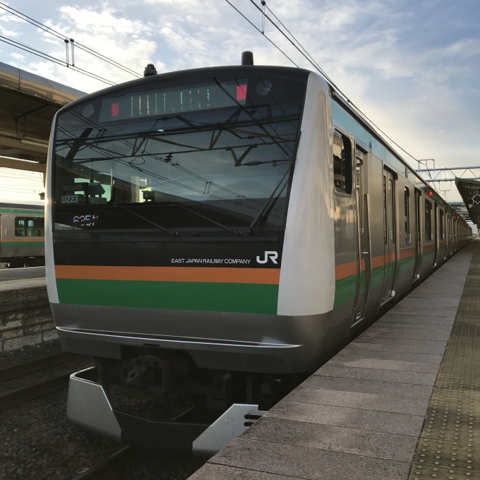 鉄道乗車記録の写真:乗車した列車(外観)(3)        「E233系宮ヤマ U223編成。小金井駅2番線。」