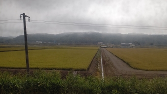 札幌駅から滝川駅の乗車記録(乗りつぶし)写真