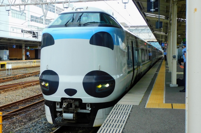 鉄道乗車記録の写真:乗車した列車(外観)(1)     「くろしお1号・新宮行き」