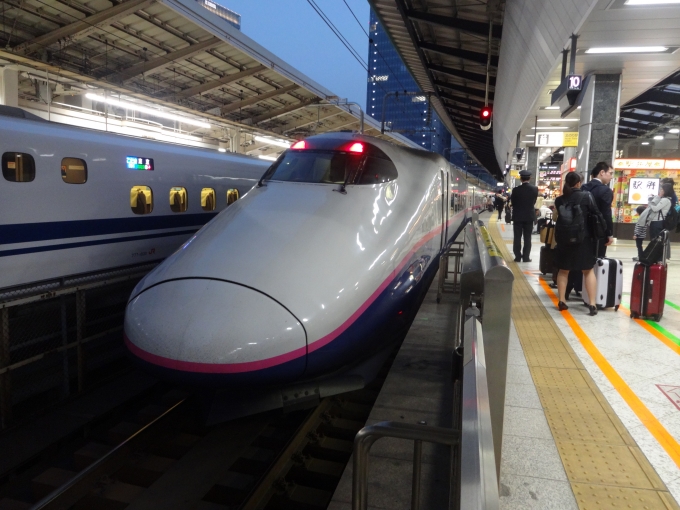 鉄道乗車記録の写真:乗車した列車(外観)(1)        「東京発車前(下り方)」