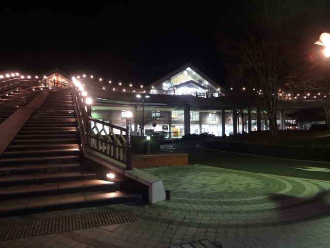 鉄道乗車記録の写真:駅舎・駅施設、様子(2)        「夜の軽井沢駅北口。
山間の観光地の夜は人は多くとも静かな雰囲気でした。」