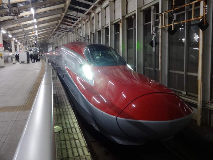 鉄道乗車記録の写真:乗車した列車(外観)(1)        「仙台停車中(下り方)
Z9編成は昨年10月に奥羽本線(山形線)で試運転を実施した編成として一時期話題となりました。」