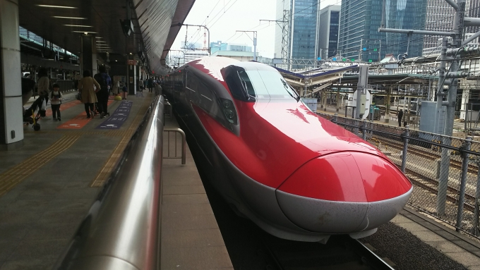 鉄道乗車記録の写真:乗車した列車(外観)(1)          「東京到着後(下り方)
到着後は折り返し3015Bとなり新函館北斗・秋田へ向かいます。」
