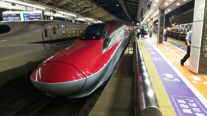 鉄道乗車記録の写真:乗車した列車(外観)(1)        「東京発車前(下り方)
臨時5060Bとして到着後折返しで4067Bとなります。」