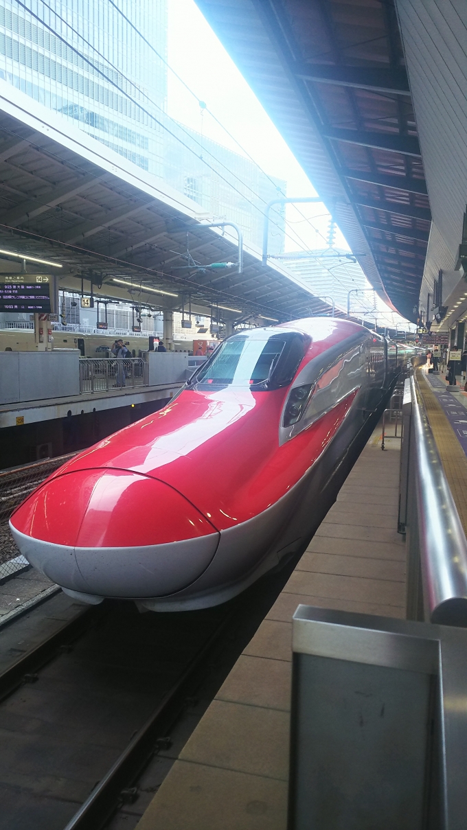 鉄道乗車記録の写真:乗車した列車(外観)(1)        「東京到着後(下り方)
到着後は折り返し255Bとなり17連のまま郡山へ向かいます。」