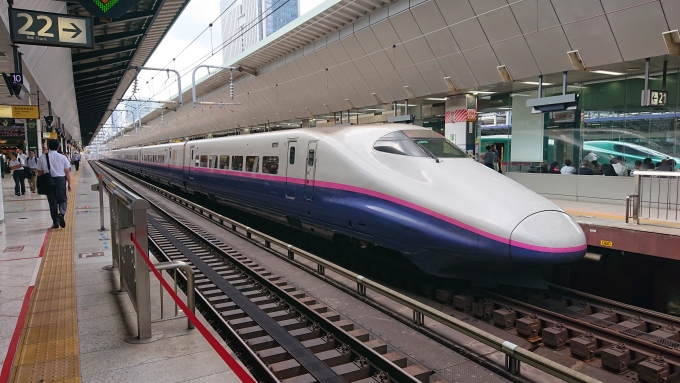 鉄道乗車記録の写真:乗車した列車(外観)(1)        「東京到着後(下り方)
22番線側から撮影。
折り返し207Bとなり仙台へ戻っていきます。」