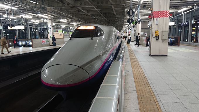 鉄道乗車記録の写真:乗車した列車(外観)(1)          「仙台到着後(下り方)
仙台駅12番線に到着するE2系充当列車は1日3本のみと珍しい存在になりました。」