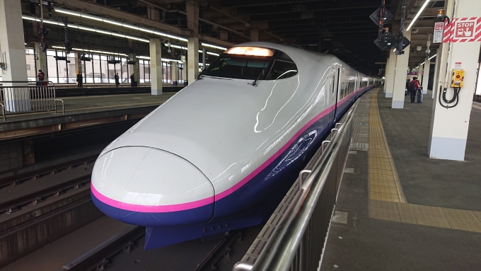 鉄道乗車記録の写真:乗車した列車(外観)(1)          「大宮停車中(上り方)
大宮を発ち、引き続き東京へ向かいます。」