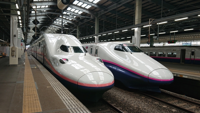 鉄道乗車記録の写真:乗車した列車(外観)(1)        「新潟到着後(下り方)
11番線の312C、12番線の314C(E2系1000番台J74)との顔合わせです。」