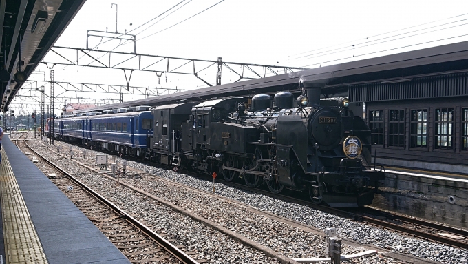 鉄道乗車記録の写真:乗車した列車(外観)(2)        「C11+ヨ8000の連結後、一度引上線で折り返し2番線に入線です。」