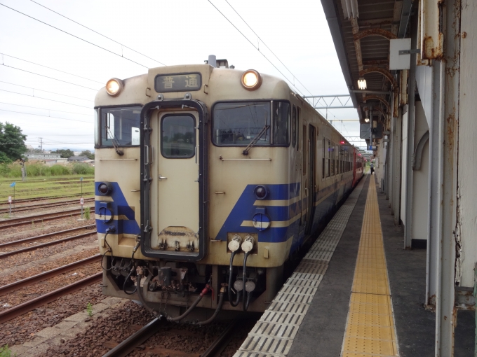 鉄道乗車記録の写真:乗車した列車(外観)(1)        「東能代発車前(下り方)
首都圏色を挟んだ五能色48+首都圏色48+五能色40の3両での運行。
他の乗客は2両目への乗車が多かったようです。」