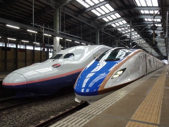鉄道乗車記録の写真:乗車した列車(外観)(4)        「新潟到着後(下り方)
引退を間近に控えていたE4系P52による316C(とき316)と並びました。」