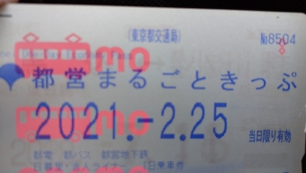 白金高輪駅から西高島平駅の乗車記録(乗りつぶし)写真