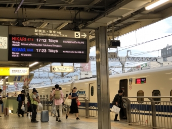 浜松駅から東京駅の乗車記録(乗りつぶし)写真