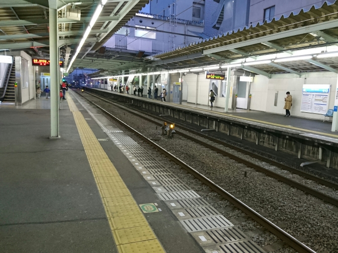 鉄道乗車記録の写真:駅舎・駅施設、様子(4)        「西武柳沢駅のホームの様子」