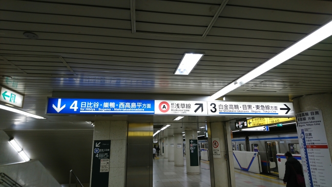 鉄道乗車記録の写真:駅舎・駅施設、様子(2)        「三田線のホームは上下2層に分かれています」