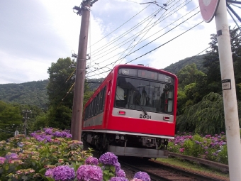 大平台駅から塔ノ沢駅:鉄道乗車記録の写真