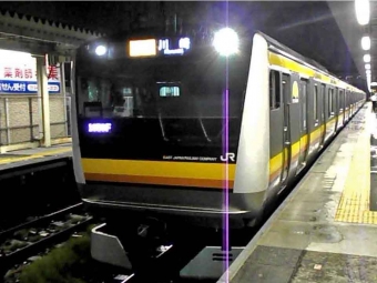 南多摩駅から稲田堤駅の乗車記録(乗りつぶし)写真