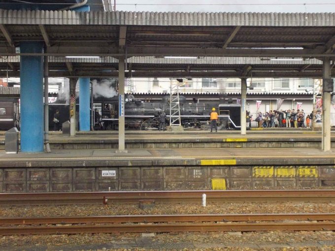 鉄道乗車記録の写真:列車・車両の様子(未乗車)(2)        「SLやまぐち号です。」