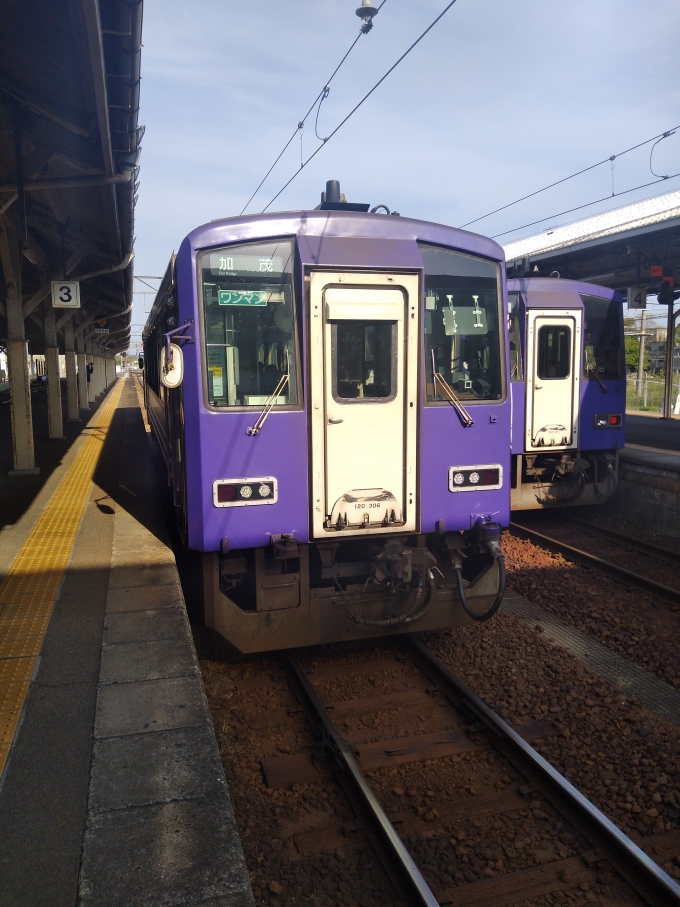 鉄道乗車記録の写真:乗車した列車(外観)(1)        「249Dです。加茂まで乗り通します」