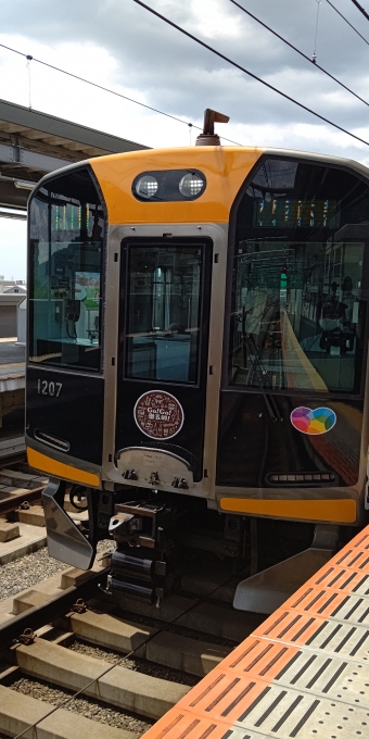 東花園駅から大和西大寺駅の乗車記録(乗りつぶし)写真