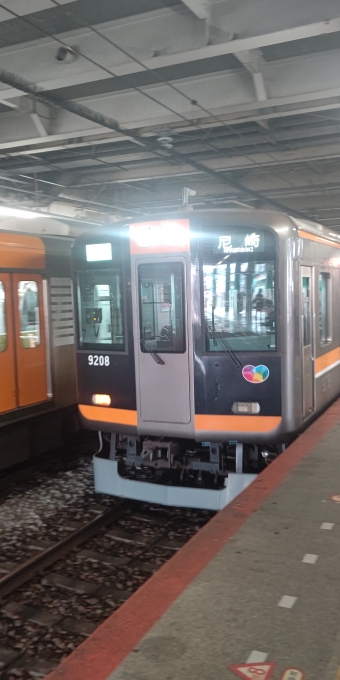 大和西大寺駅から東花園駅の乗車記録(乗りつぶし)写真