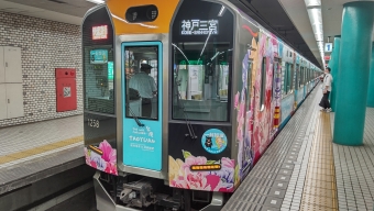 近鉄奈良駅から神戸三宮駅の乗車記録(乗りつぶし)写真