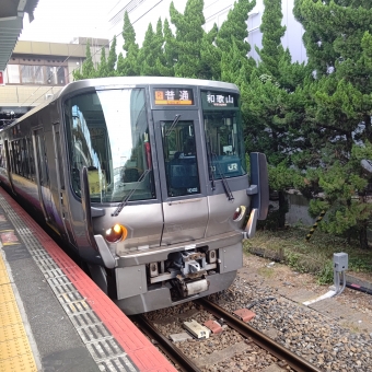 鳳駅から和歌山駅の乗車記録(乗りつぶし)写真