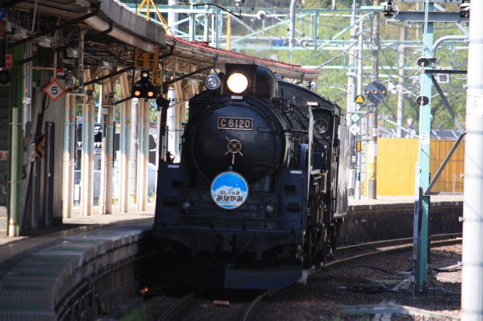 鉄道乗車記録の写真:乗車した列車(外観)(2)        「SLぐんまみなかみの牽引機
C61 20」