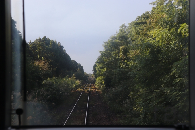 鉄道乗車記録の写真:車窓・風景(37)        