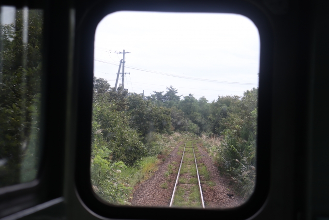 鉄道乗車記録の写真:車窓・風景(40)        