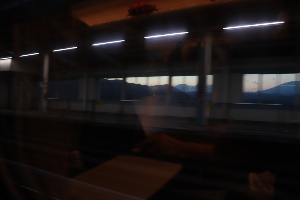 鉄道乗車記録「盛岡駅から上野駅」車窓・風景の写真(32) by フレッシュマリオ 撮影日時:2020年09月21日