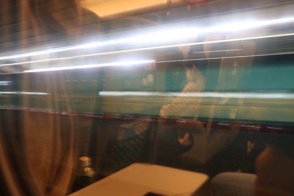 鉄道乗車記録「盛岡駅から上野駅」車窓・風景の写真(49) by フレッシュマリオ 撮影日時:2020年09月21日