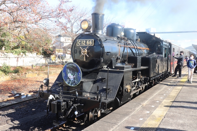鉄道乗車記録の写真:乗車した列車(外観)(17)        「SLもおかの牽引機関車　C12 66」