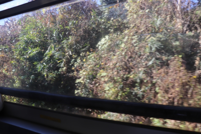 鉄道乗車記録の写真:車窓・風景(40)        