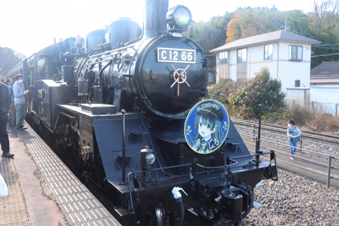 鉄道乗車記録の写真:乗車した列車(外観)(79)        