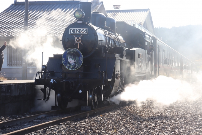 鉄道乗車記録の写真:乗車した列車(外観)(81)        