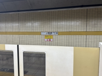 飯田橋駅から小手指駅の乗車記録(乗りつぶし)写真