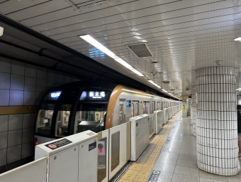 小竹向原駅から豊洲駅の乗車記録(乗りつぶし)写真